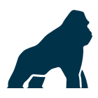 Health Gorilla